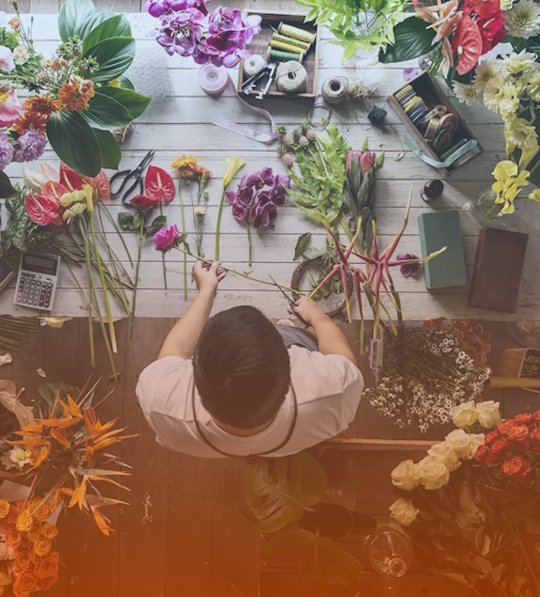 Plant Lovers